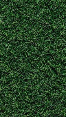 трава текстура газон