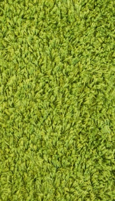 трава текстура водоросли