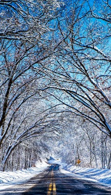 дорога снег зима аллея