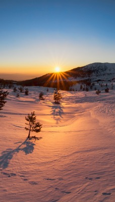 природа зима солнце деревья