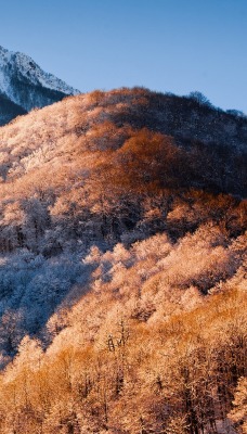 зима снег горы рассвет