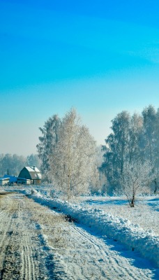 зима снег дорога деревня