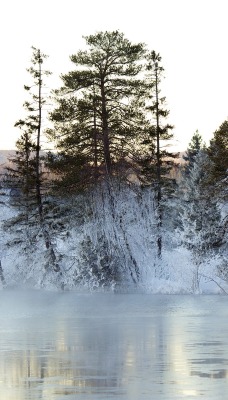зима горы озеро деревья