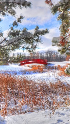 зима снег ветви мост трава
