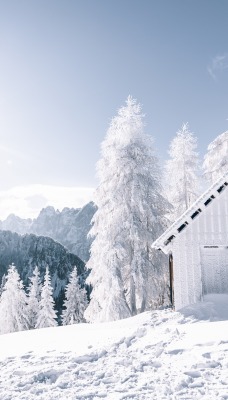 зима снег горы домик хижина