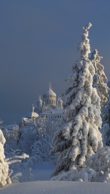 снег ели зима церковь