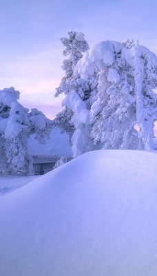 зима сугробы снег хижина дерево