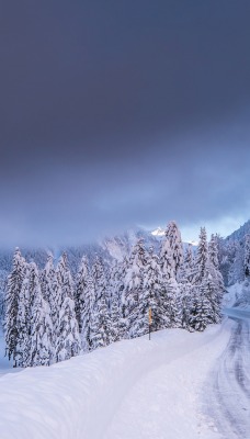 снег зима горы альпы дорога