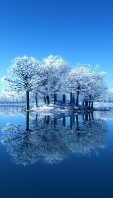 зима озеро водоем мороз иней деревья отражение
