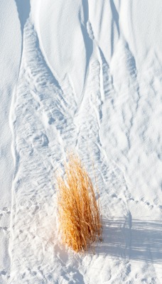 снег сухая трава ландшафт вид сверху