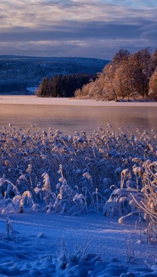 зима озеро снег утро