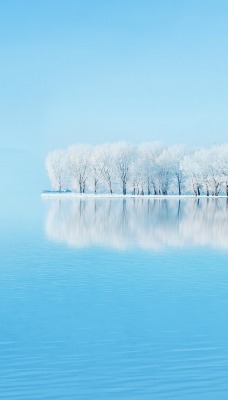 зима водоем лес иней мороз