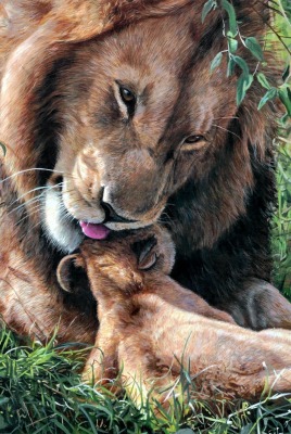 лев и львенок на траве