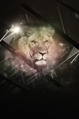 лев графика lion graphics