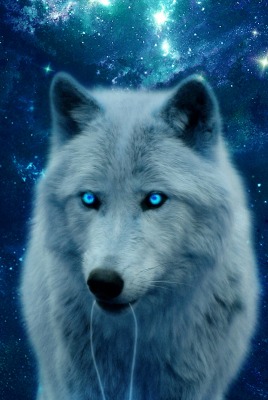 волк космос голубые глаза