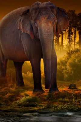 слон фантастика мальчик лес