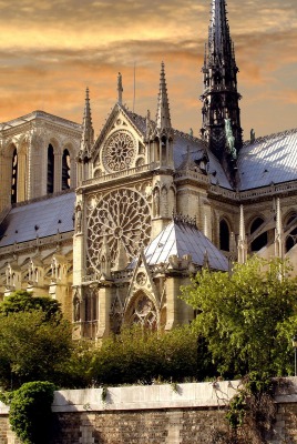 Нотр-Дам де Пари собор Париж