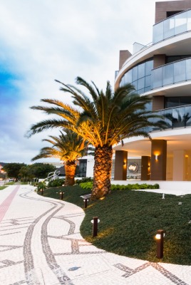 Отель апартаменты пальмы