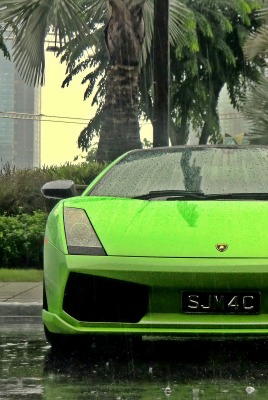 Lamborghini green