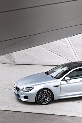 серо-белая BMW