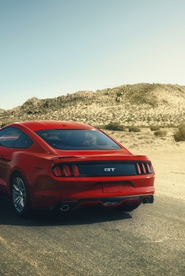 Ford Mustang дорога пустыня