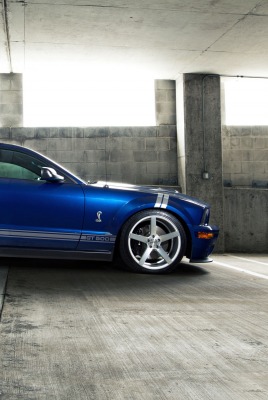 Ford Mustang Shelby Мустанг Шелби