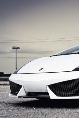 Lamborghini ламборгини белая кабриолет