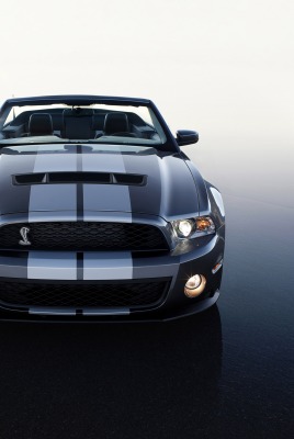 черный автомобиль Ford Shelby GT500