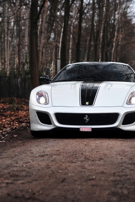 белый автомобиль Ferrari 599 GTB Fiorano