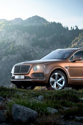 автомобиль Bentley Bentyaga car