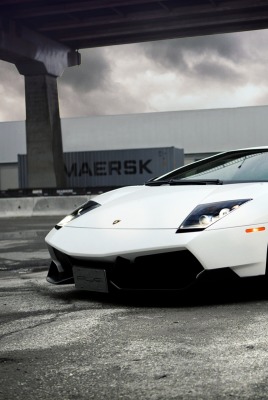 белый спортивный автомобиль lamborghini murcielago