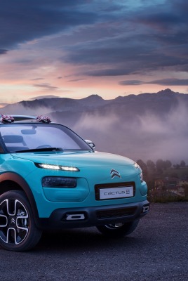 синий автомобиль citroen cactus m