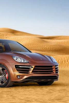 порше пустыня Porsche desert