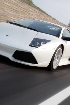 ламборгини белая Lamborghini white