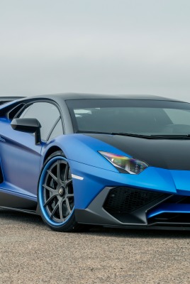 Lamborghini Aventador тюнинг море