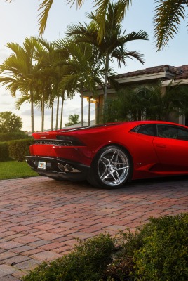 Lamborghini Huracan газон коттедж пальмы