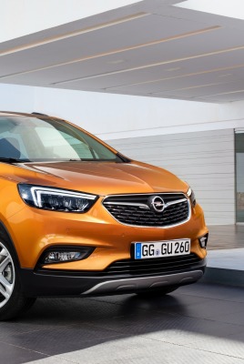 Opel Mokka гараж