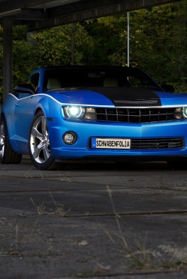 Chevrolet Camaro стоянка лес