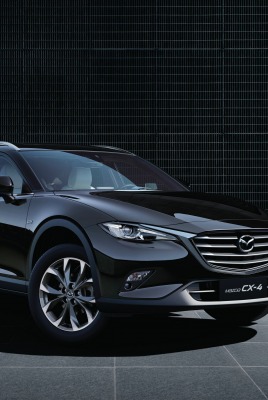 Mazda CX-4 черная плитка