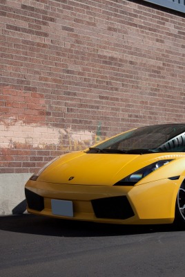 Lamborghini Gallardo стена