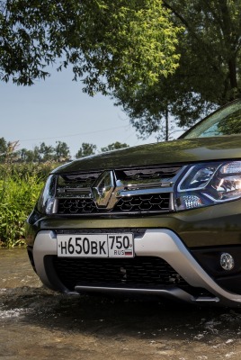 Renault Duster болотная луужа