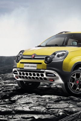 Fiat Panda горы