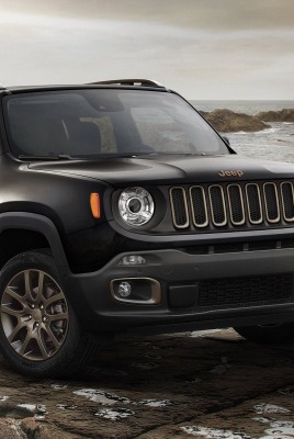 Jeep Renegade прибрежье небо