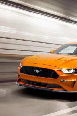 Ford Mustang дорога туннель