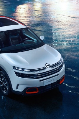 Citroen C5 тротуар лужи