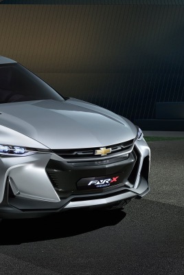 Chevrolet FNR-X гараж лужайка