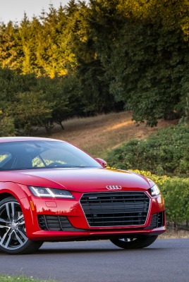 Audi TT купе лес деревья