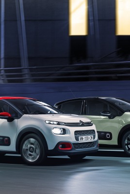 Citroen C3 дорога ночь