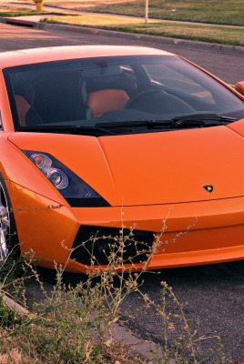 Lamborghini Gallardo дорога спорткар