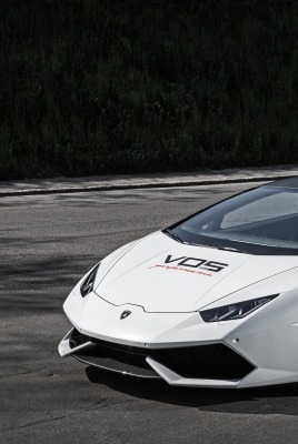 lamborghini белая спорткар асфальт